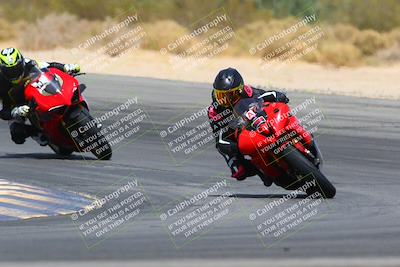 media/Apr-10-2022-SoCal Trackdays (Sun) [[f104b12566]]/Turn 10 (1pm)/